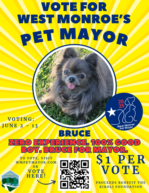 Vote for Bruce