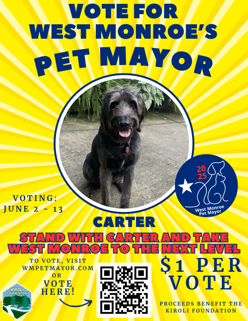 Vote for Carter
