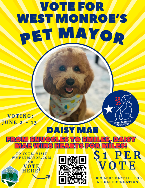 Vote for Daisy Mae