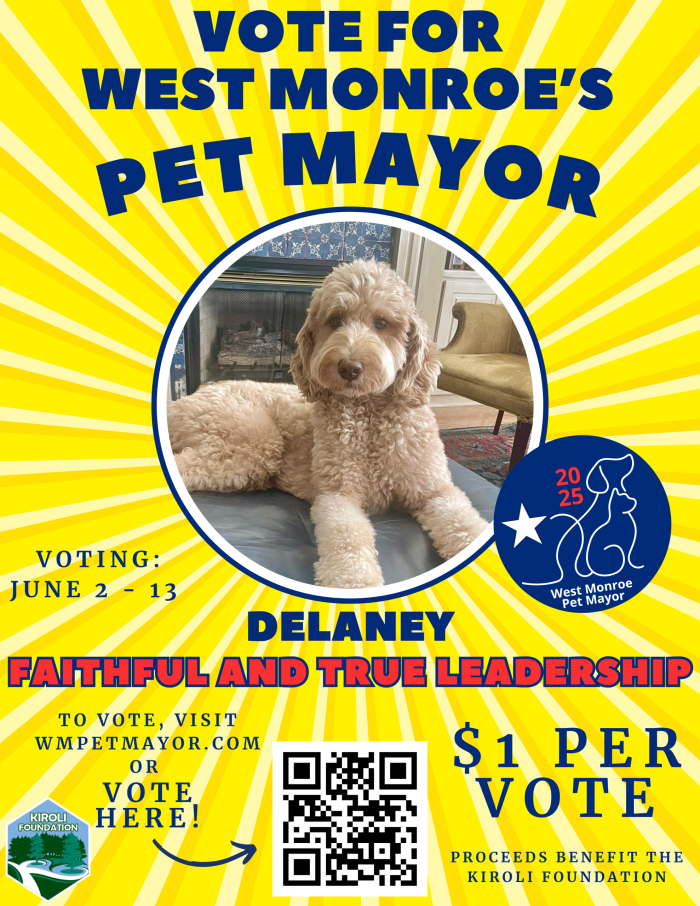 Vote for Delaney