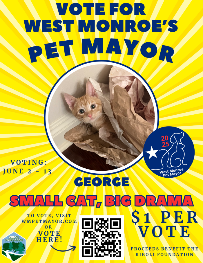 Vote for George