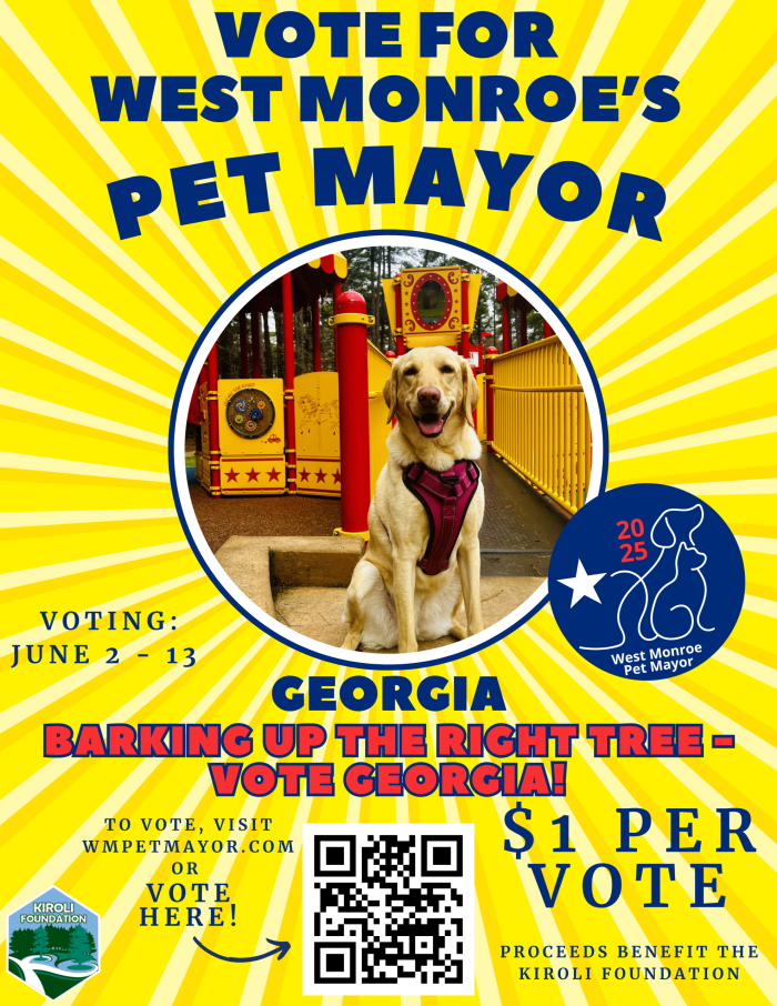 Vote for Georgia