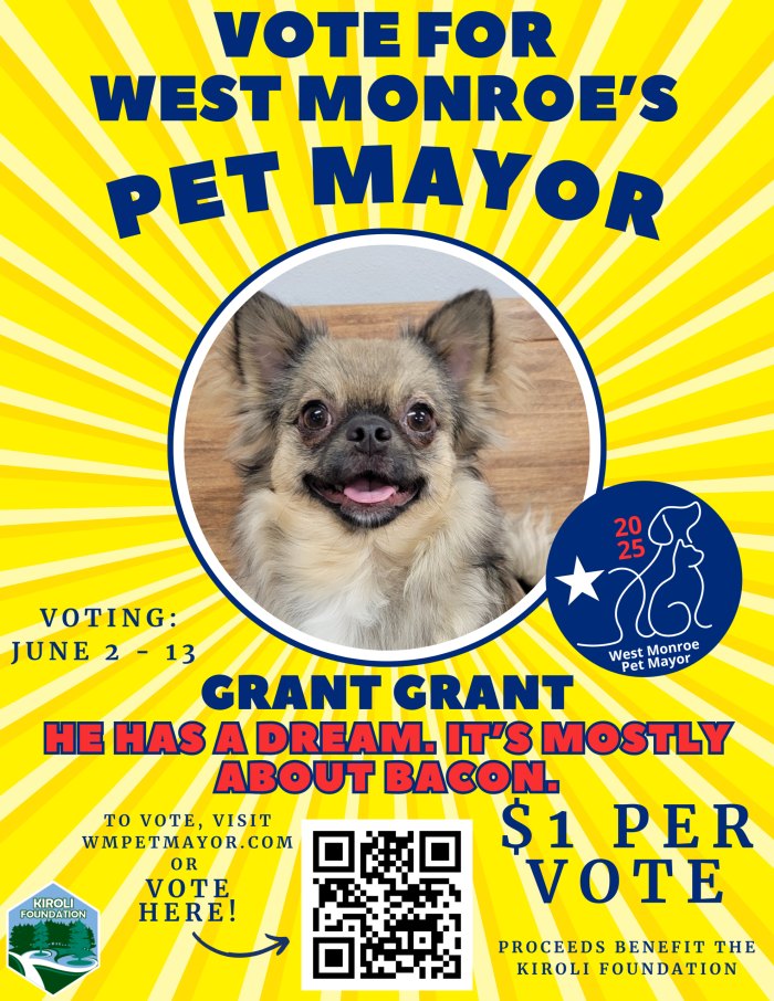 Vote for Grant Grant