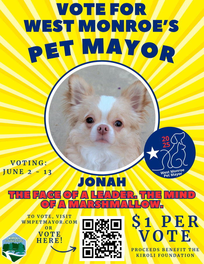 Vote for Jonah