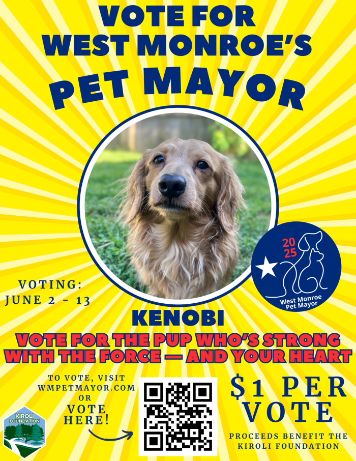 Vote for Kenobi