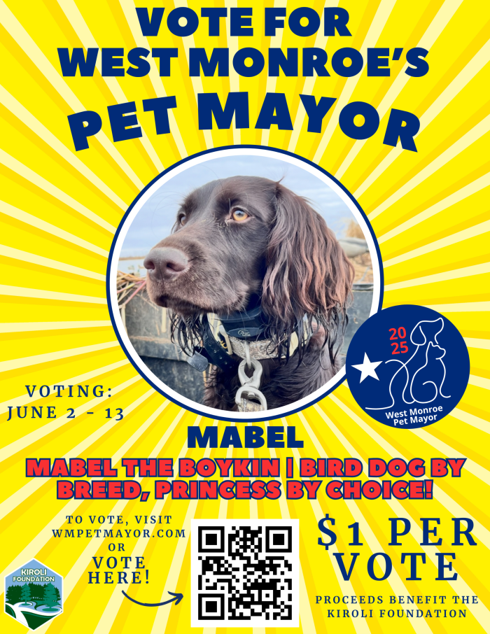 Vote for Mabel