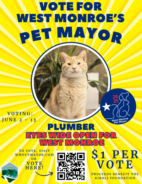 Vote for Plumber