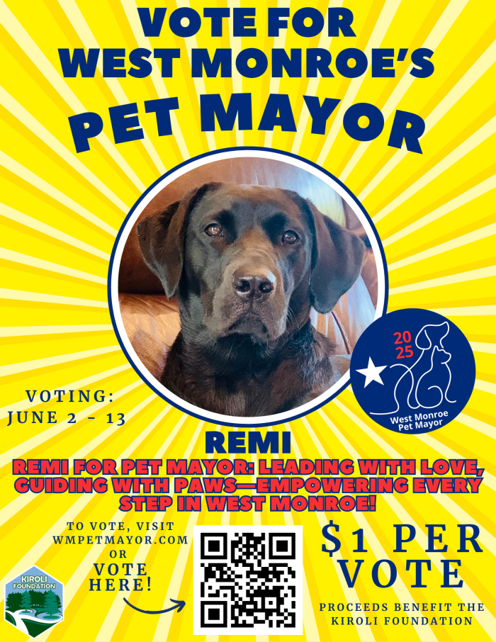 Vote for Remi