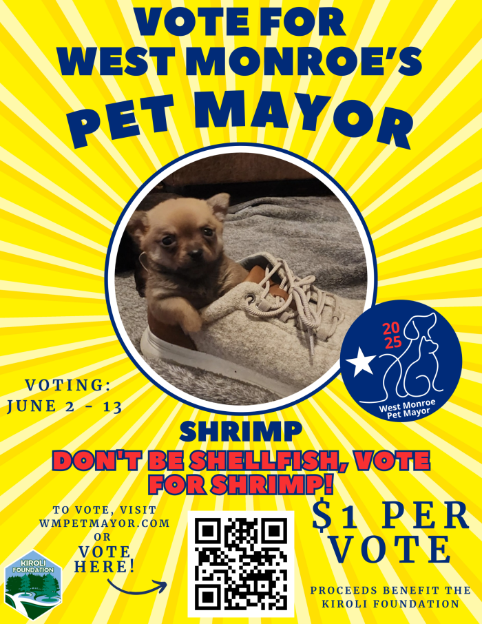 Vote for Shrimp