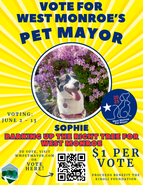 Vote for Sophie