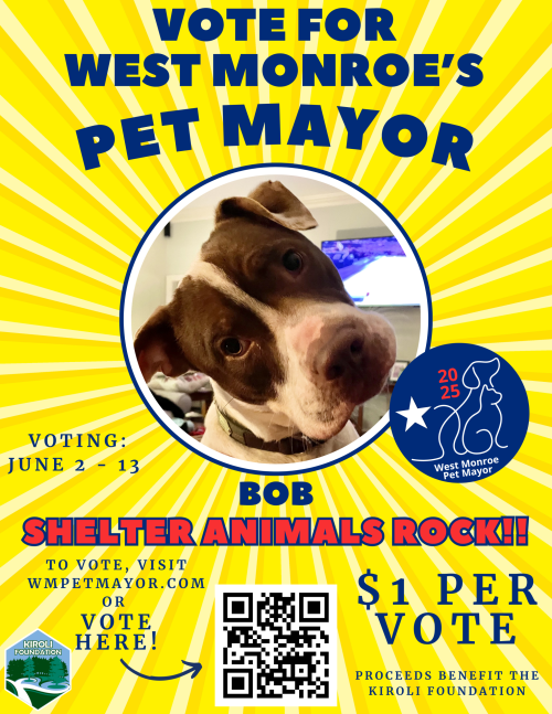 Vote for Bob